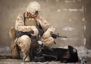 soldier playing with working dog
